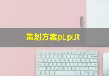 策划方案p p t